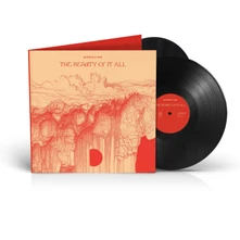 Monolink, Vinyl THE BEAUTY OF IT ALL