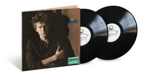 Don Henley – Vinyl Building The Perfect Beast