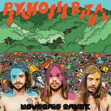 Mountain Tamer – PSYCHOSIS RITUAL (Green Vinyl) (Vinyl)