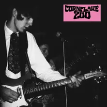 Cornflake Zoo – KNIGHTS OF FUZZ (Vinyl)