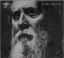Bill Orcutt – ANOTHER PERFECT DAY (CD)