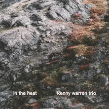 TRIO- - IN THE HEAT thumbnail