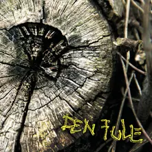 DEN FULE (CD)