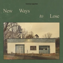CD NEW WAYS TO LOSE