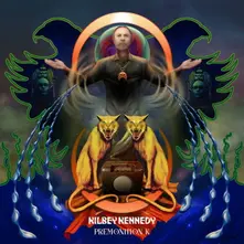 Vinyl PREMONITION K