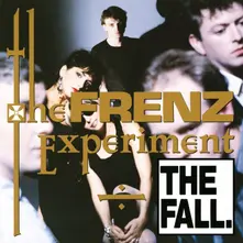 CD FRENZ EXPERIMENT