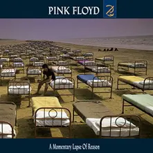 A Momentary Lapse of Reason thumbnail