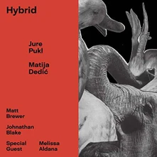 CD HYBRID