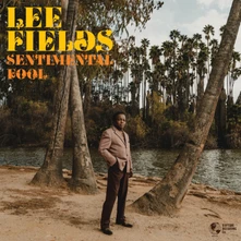 Vinyl SENTIMENTAL FOOL