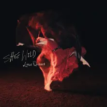 CD SHE'S WILD