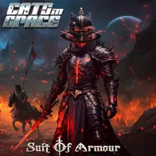 SUIT OF ARMOUR thumbnail