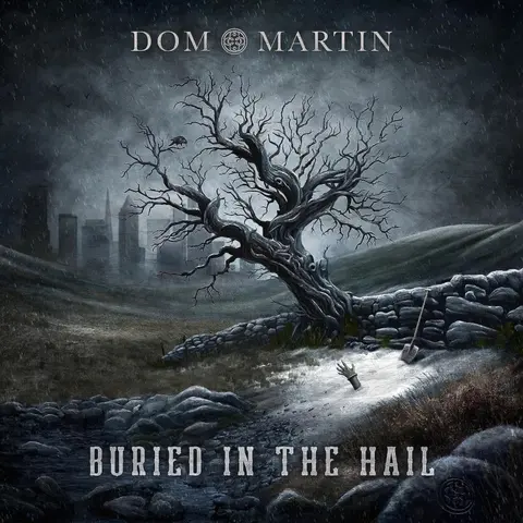 Dom Martin – Vinyl BURIED IN THE HAIL
