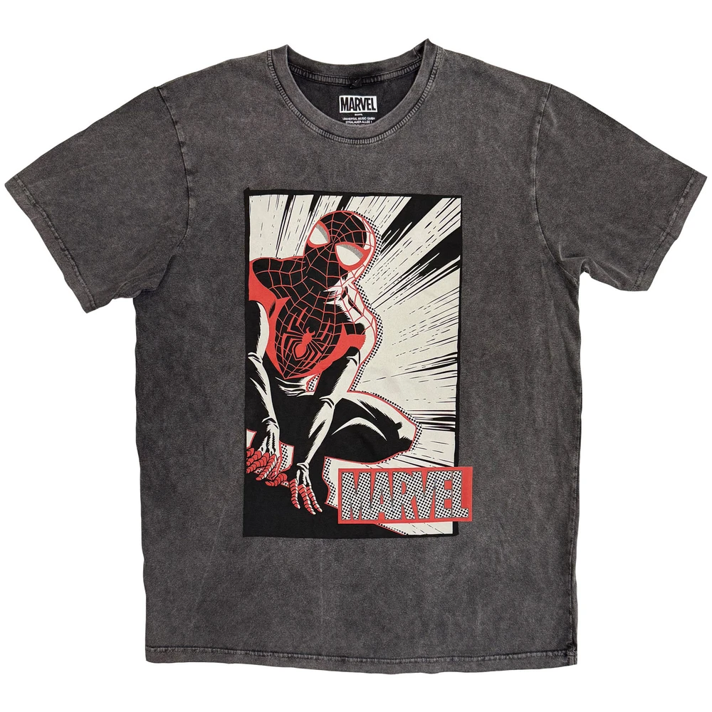Spider-Man Crouch Cartoon