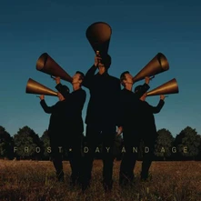 Vinyl Day and Age