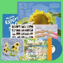 The Beths – EXPERT IN A DYING FIELD (Vinyl)