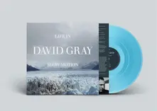 David Gray, Vinyl LIFE IN SLOW MOTION