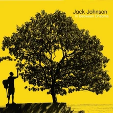 Jack Johnson, Vinyl IN BETWEEN DREAMS