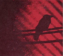 A Silver Mt. Zion, Vinyl BORN INTO TROUBLE AS THE SPARKS FLY UPWARD