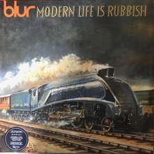 Vinyl Modern Life Is Rubbish