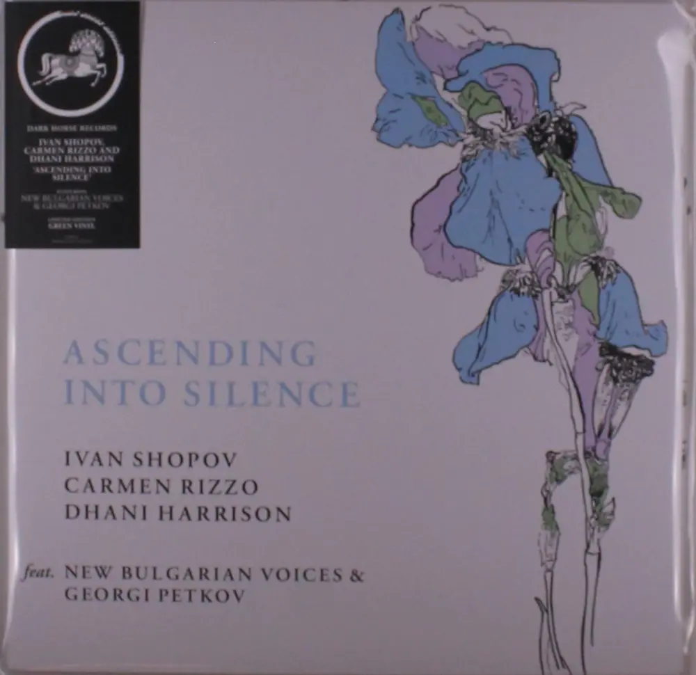 ASCENDING INTO SILENCE