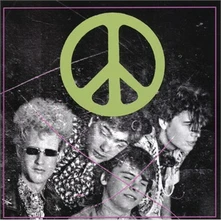 The Flaming Lips, CD SCRATCHING THE DOOR: THE FIRST RECORDINGS OF THE FLAMING LIPS