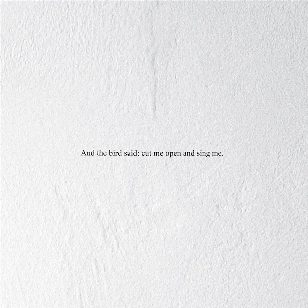 Prairie – AND THE BIRD SAID: CUT ME OPEN AND SING ME (Vinyl)