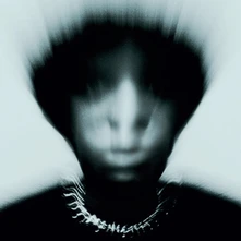 Gallant, CD ZINC
