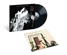 Hole, Vinyl CELEBRITY SKIN