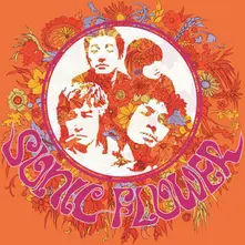 SONIC FLOWER thumbnail