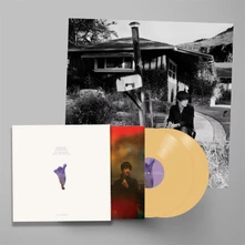 Sharon Van Etten, Vinyl WE'VE BEEN GOING ABOUT THIS ALL WRONG