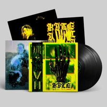 Kite, Vinyl VII