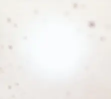 THERE'S A RIOT GOING ON thumbnail