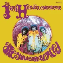Vinyl Are You Experienced