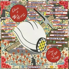 Steve Earle & The Dukes, Vinyl GHOSTS OF WEST VIRGINIA