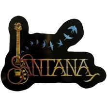Magnetka Fridge Magnet: Guitar & Birds