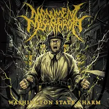 WASHINGTON STATE CHARM thumbnail