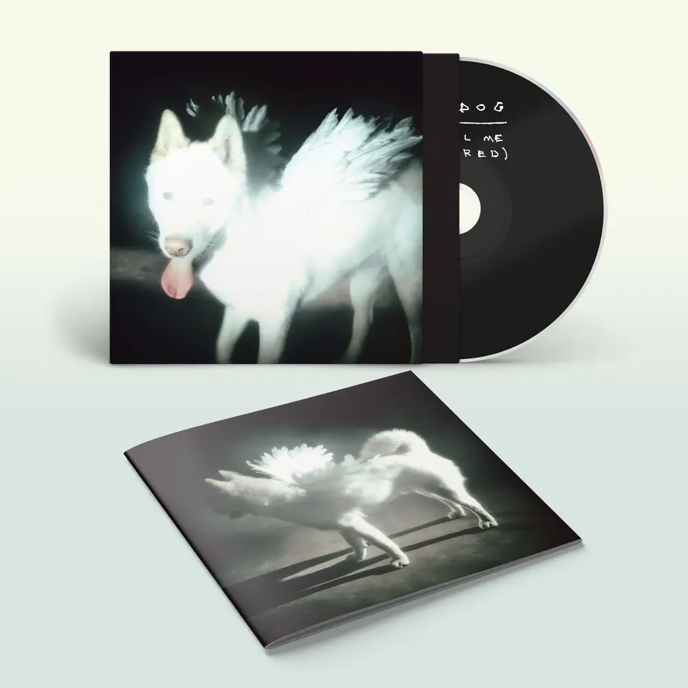 Fat Dog – CANCEL ME (I'M TIRED) (CD)
