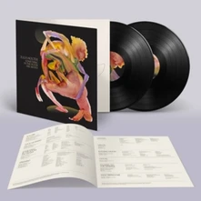 Julia Holter, Vinyl SOMETHING IN THE ROOM SHE MOVES