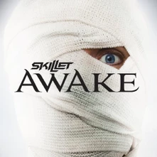 Skillet, CD SKILLET - AWAKE