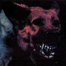 Protomartyr, CD PROTOMARTYR - UNDER COLOR OF OFFICIAL RIGHT
