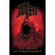 Plagát Sound Of Perseverance