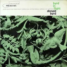 BYRD IN FLIGHT thumbnail