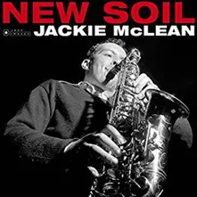 Vinyl NEW SOIL