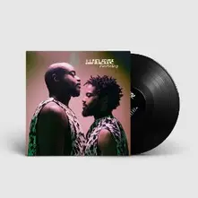 Illnoledge, Vinyl Everlasting