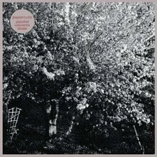 Papercuts, CD PARALLEL UNIVERSE BLUES