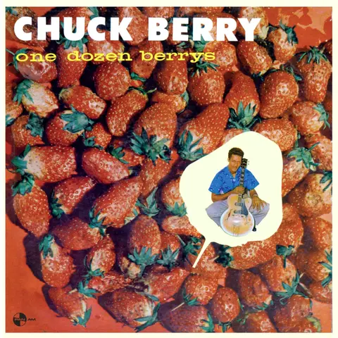 ONE DOZEN BERRYS