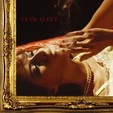 Team Sleep, Vinyl TEAM SLEEP