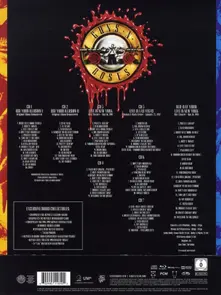 Use Your Illusion (Super Deluxe Boxset) thumbnail