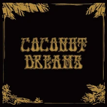 Various Artists, Vinyl SKYRAGER PRESENTS COCO...