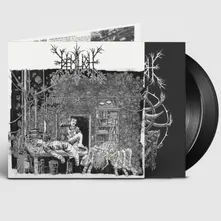 Demilich, Vinyl EM9T2NESS OF VAN2S1ING / V34ISH6NG 0F EMPTINESS
